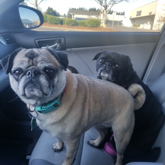 FG #1 Comments full! See my new waterfall FG!❤💗💕 - Picture 8 of 8